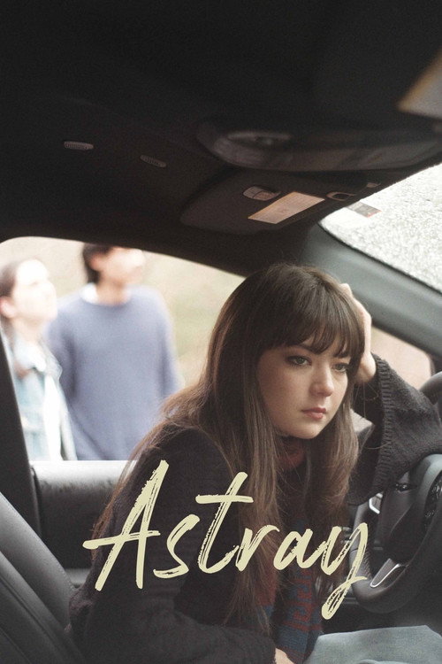 Movie poster for Astray