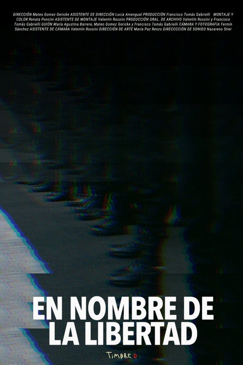 Movie poster for In the Name of Liberty (2024)