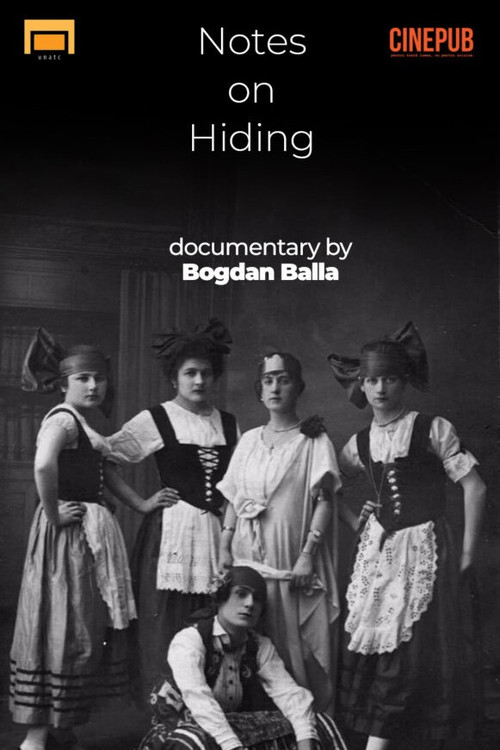 Movie poster for Notes on Hiding (2019)