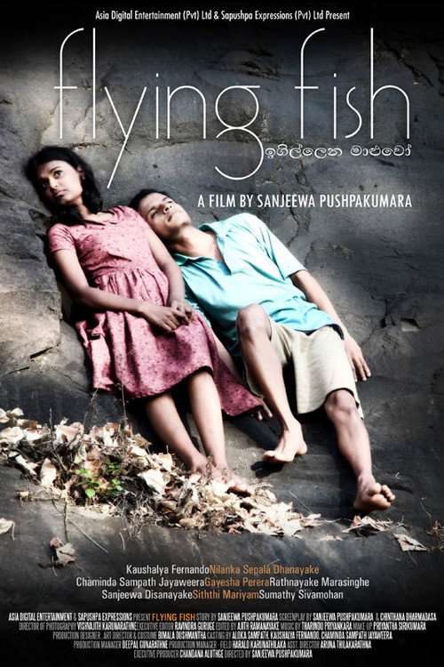 Movie poster for Flying Fish (2011)