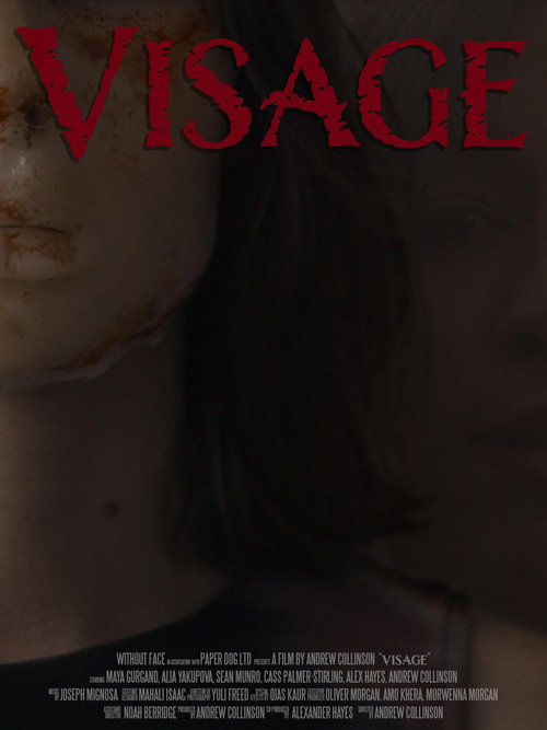 Movie poster for Visage (2026)