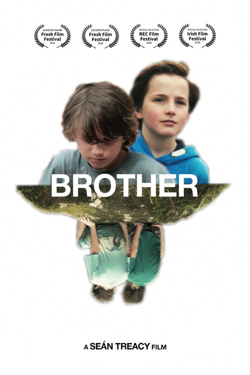 Movie poster for Brother (2017)