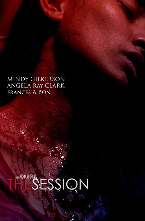 Movie poster for The Session (2018)