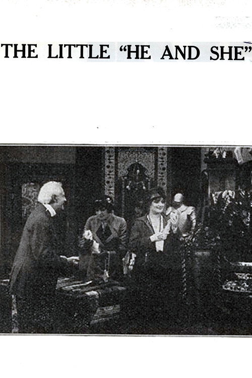 Movie poster for The Little 'He and She' (1914)