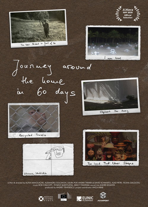 Movie poster for Journey Around the Home in 60 Days (2020)