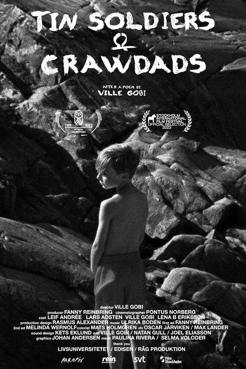 Movie poster for Tin Soldiers & Crawdads (2023)