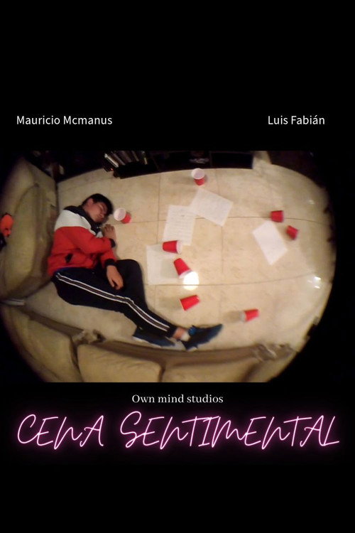 Movie poster for A sentimental dinner (2019)