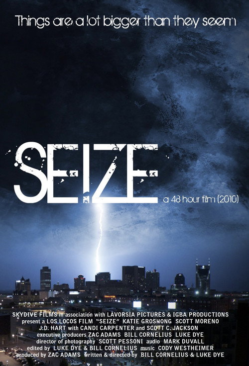 Movie poster for Seize (2010)