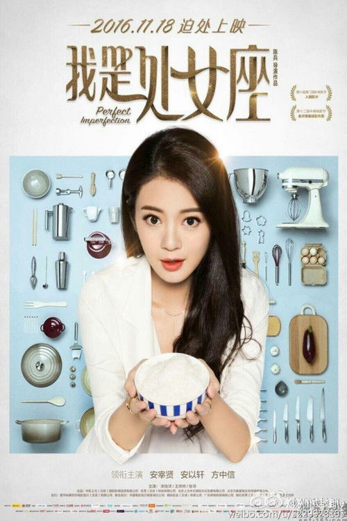 Movie poster for Perfect Imperfection (2016)