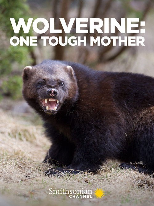 Movie poster for Wolverine: One Tough Mother (2021)