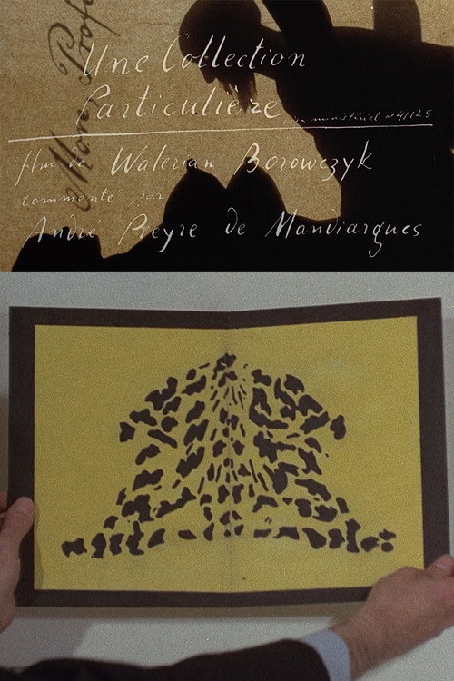 Movie poster for A Private Collection (1972)
