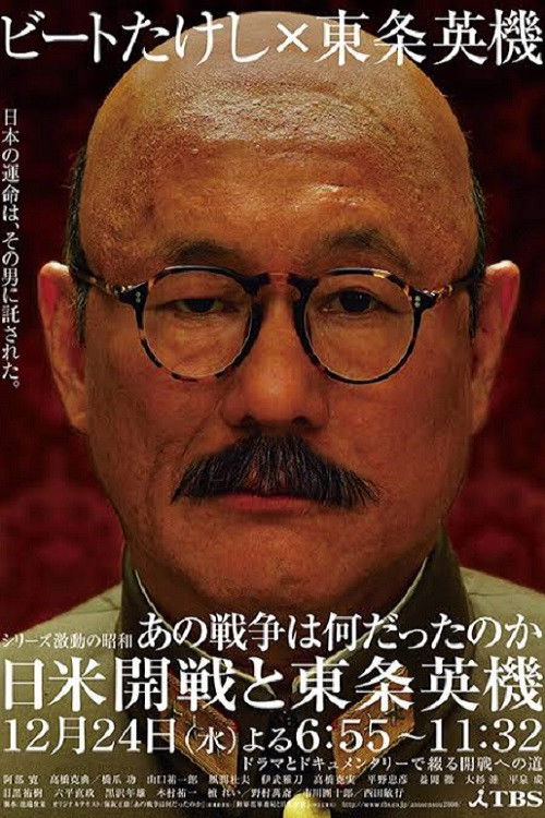 Movie poster for What the War Meant (2008)