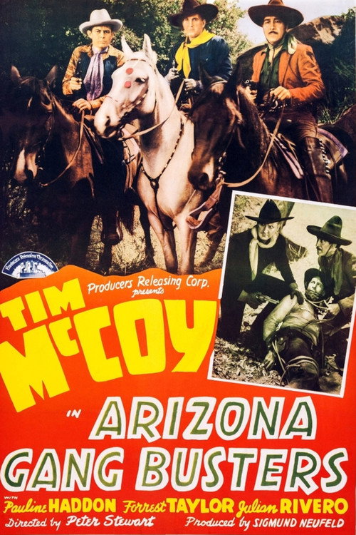 Movie poster for Arizona Gang Busters (1940)