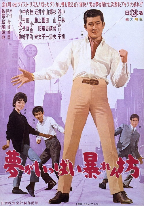 Movie poster for A Rampage Full of Dreams (1962)