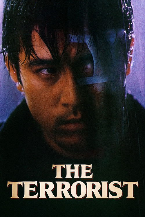 Movie poster for The Terrorist (1995)