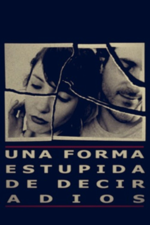 Movie poster for A stupid way to say goodbye (2004)