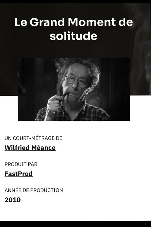 Movie poster for Le grand moment de solitude (2010)
