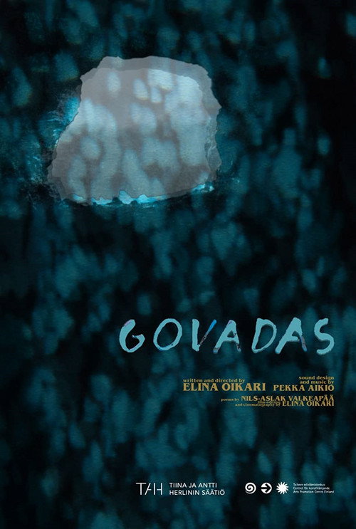 Movie poster for Govadas (2019)