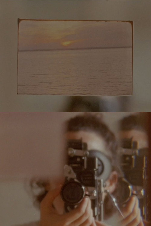 Movie poster for Aparición, pétalo y lengua (2024)