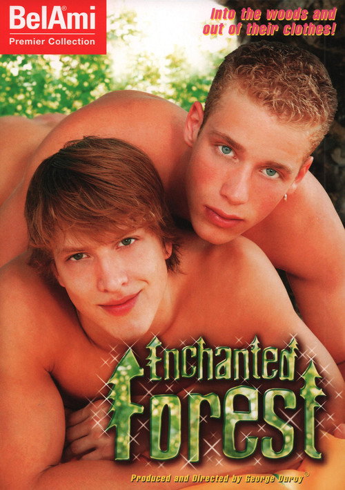 Movie poster for Enchanted Forest (2005)