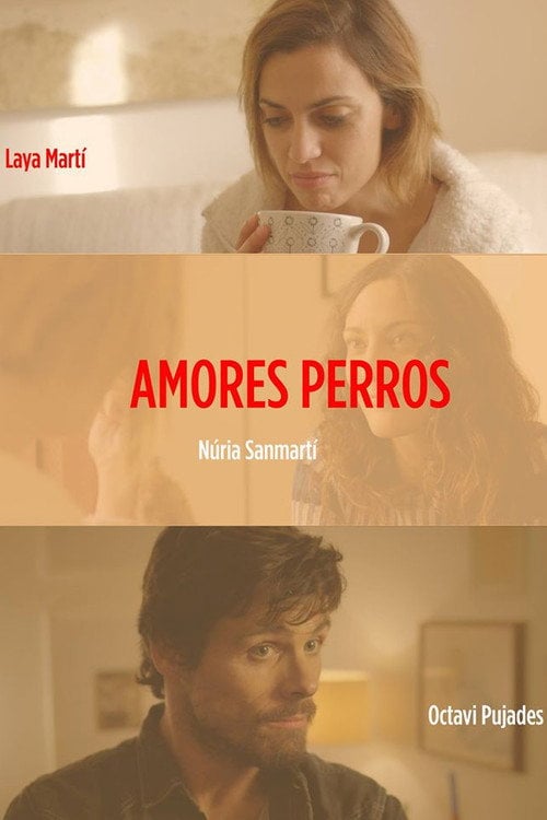 Movie poster for Amores perros (2016)