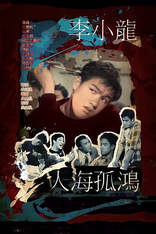Movie poster for The Orphan (1960)