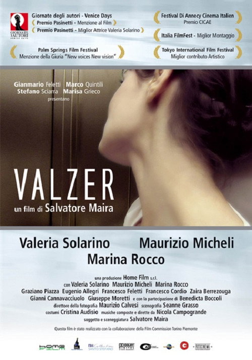 Movie poster for Valzer (2007)