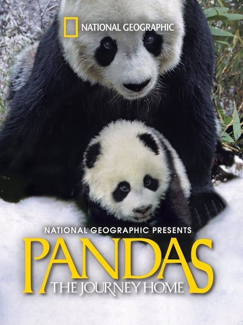 Movie poster for Pandas: The Journey Home (2014)