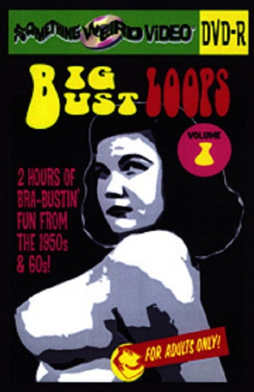Movie poster for Big Bust Loops  Volume 1 (2009)