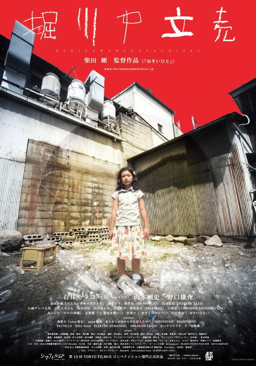 Movie poster for Doman Seman (2010)