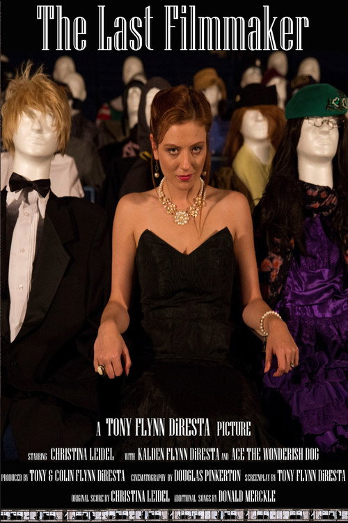 Movie poster for The Last Filmmaker (2016)