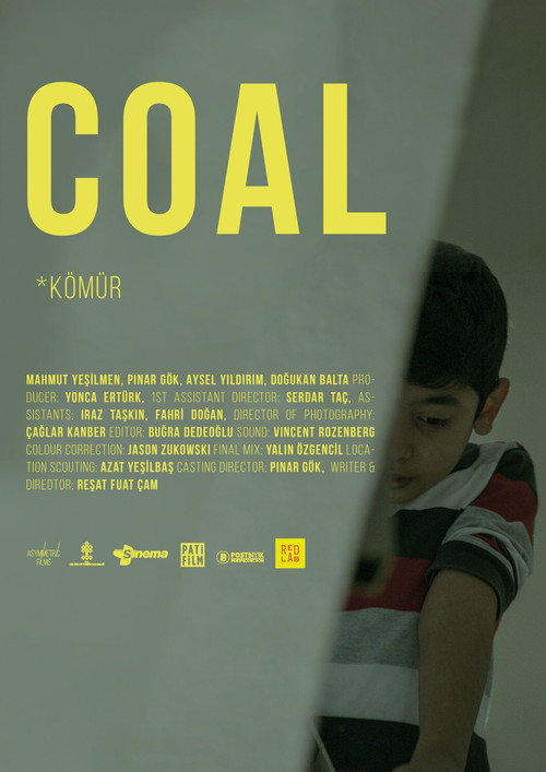 Movie poster for Coal (2020)