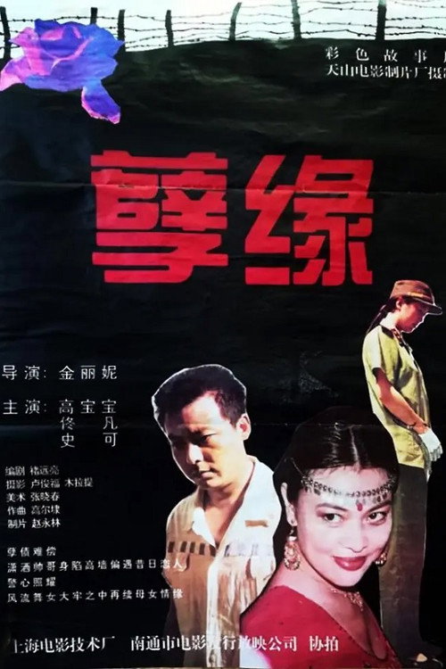 Movie poster for 孽缘 (1995)