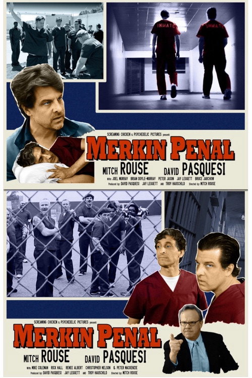 Movie poster for Merkin Penal (2014)