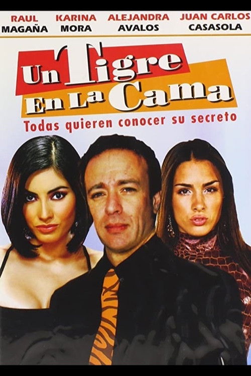 Movie poster for Un tigre en la cama (2009)