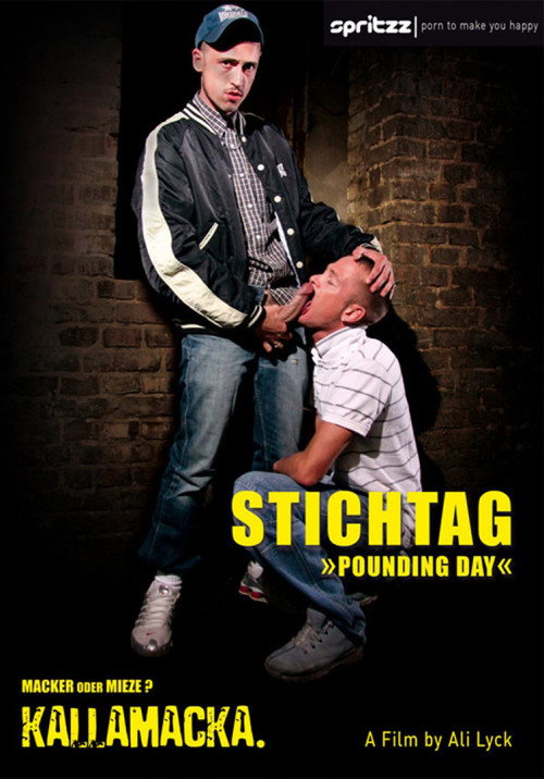 Movie poster for Stichtag: Pounding Day (2010)