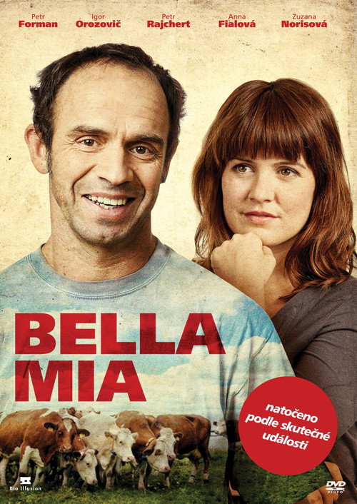 Movie poster for Bella Mia (2013)