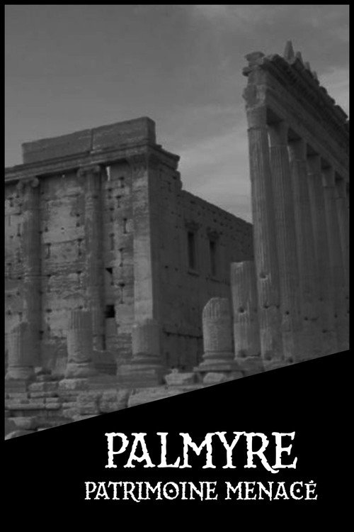 Movie poster for Palmyre, patrimoine menacé (2017)