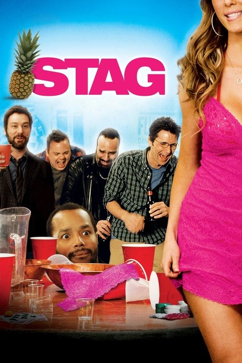 Movie poster for Stag (2013)