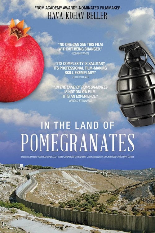 Movie poster for In the Land of Pomegranates (2018)