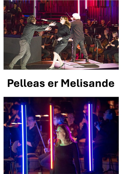 Movie poster for Pelleas et Melisande (2015)