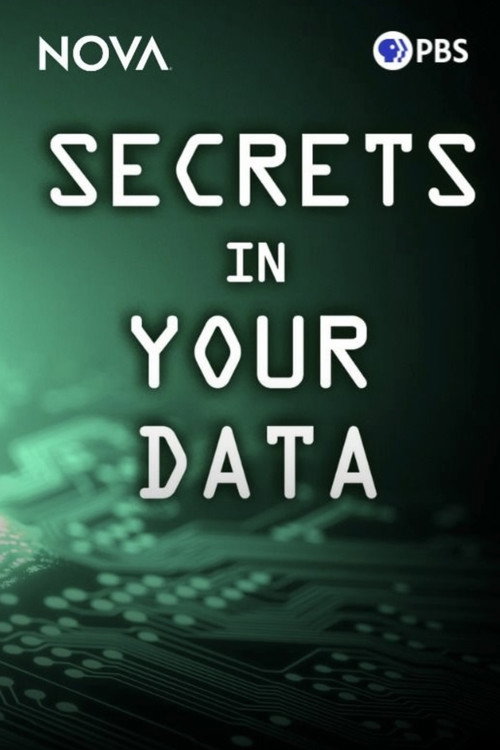 Movie poster for Secrets in Your Data (2024)