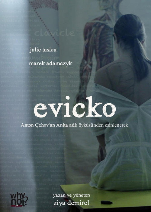 Movie poster for Evicko (2012)