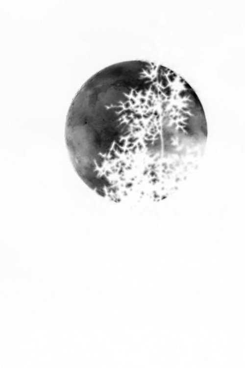 Movie poster for Negative Capability (2024)