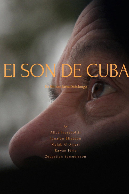 Movie poster for The son of Cuba