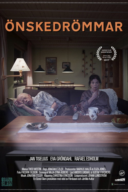 Movie poster for Make a Wish (2017)
