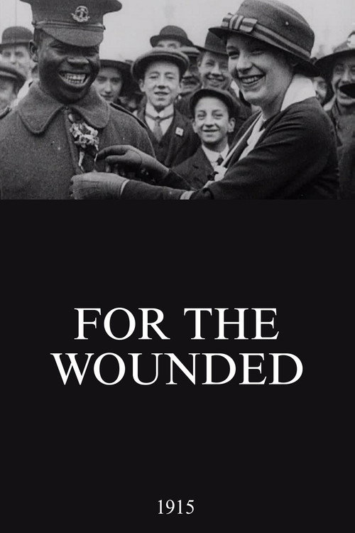 Movie poster for For the Wounded (1915)