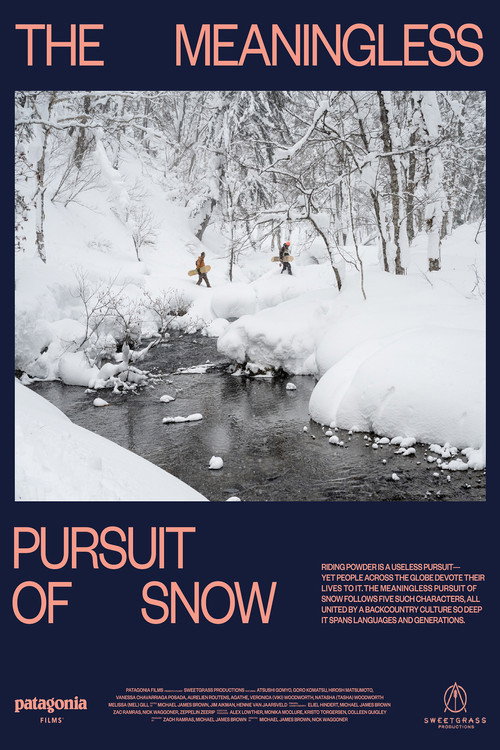 Movie poster for The Meaningless Pursuit of Snow (2023)