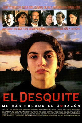 Movie poster for Revenge (1999)