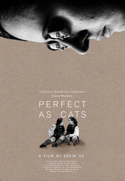 Movie poster for Perfect as Cats (2020)